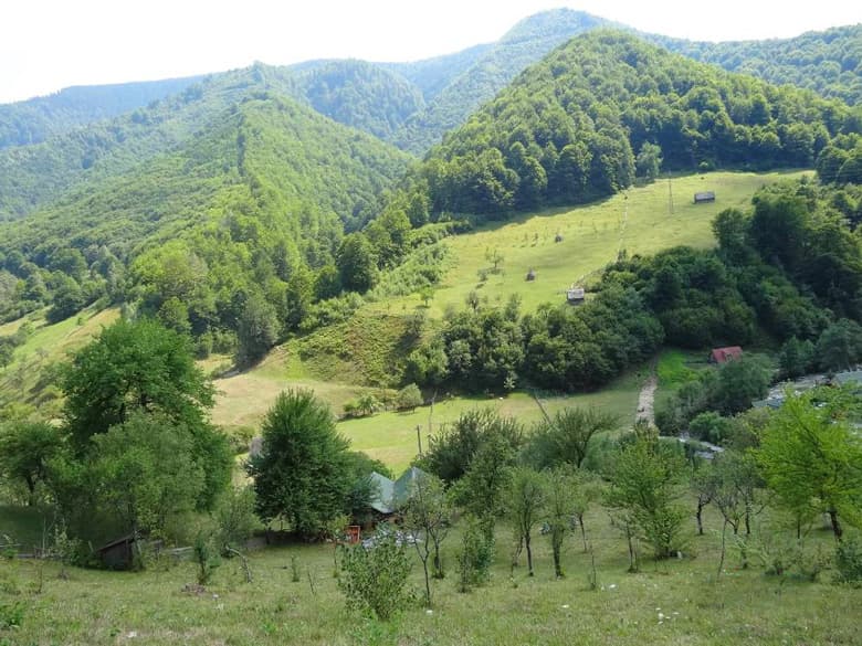 Ieșire cu tinerii pe Valea Sadului